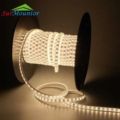 AC220V 240V 2835 Waterproof flexible led rgb strip 100m